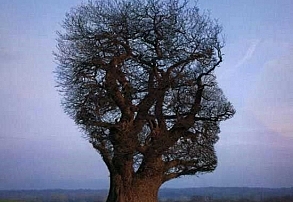 چگونه دستانمان را بشوییم؟ چگونه دستانمان را بشوییم؟