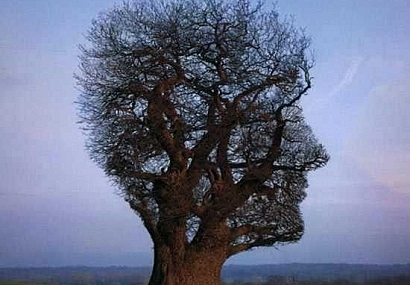 چگونه دستانمان را بشوییم؟ چگونه دستانمان را بشوییم؟