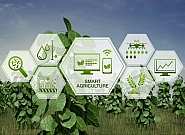 چالش‌های پساهوشمندسازی کشاورزی