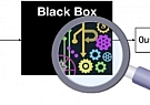 جعبه سیاه تحول علمی باز شد!