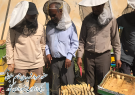 ضرورت جبهه‌سازی اجتماعی در زنجیره تولید غذا