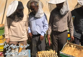 ضرورت جبهه‌سازی اجتماعی در زنجیره تولید غذا