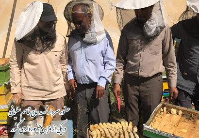 ضرورت جبهه‌سازی اجتماعی در زنجیره تولید غذا