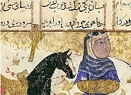 زن خردمند؛ صدایی که باید دوباره شنیده شود. زن خردمند؛ صدایی که باید دوباره شنیده شود.