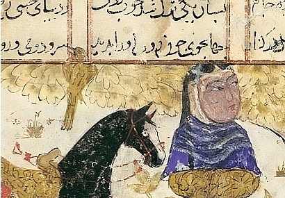 زن خردمند؛ صدایی که باید دوباره شنیده شود.