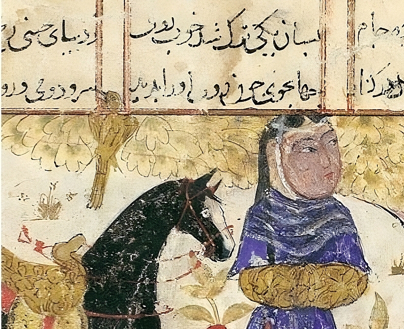 زن خردمند؛ صدایی که باید دوباره شنیده شود. زن خردمند؛ صدایی که باید دوباره شنیده شود.