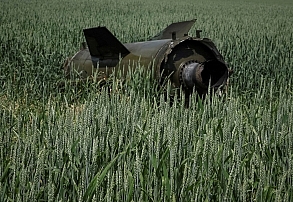 ما و ادامه جنگ؛ ضرورت خودکفایی غذا و کشاورزی ما و ادامه جنگ؛ ضرورت خودکفایی غذا و کشاورزی