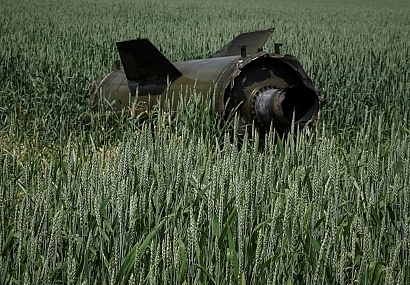 ما و ادامه جنگ؛ ضرورت خودکفایی غذا و کشاورزی ما و ادامه جنگ؛ ضرورت خودکفایی غذا و کشاورزی