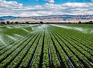 کشاورزی؛ متهم یا مدعی؟! کشاورزی؛ متهم یا مدعی؟!