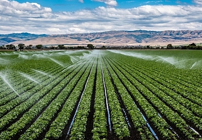 کشاورزی؛ متهم یا مدعی؟! کشاورزی؛ متهم یا مدعی؟!